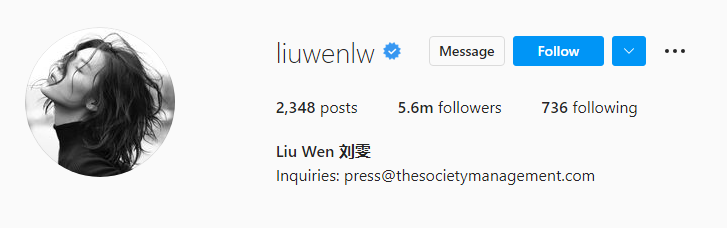 liu wen instagram